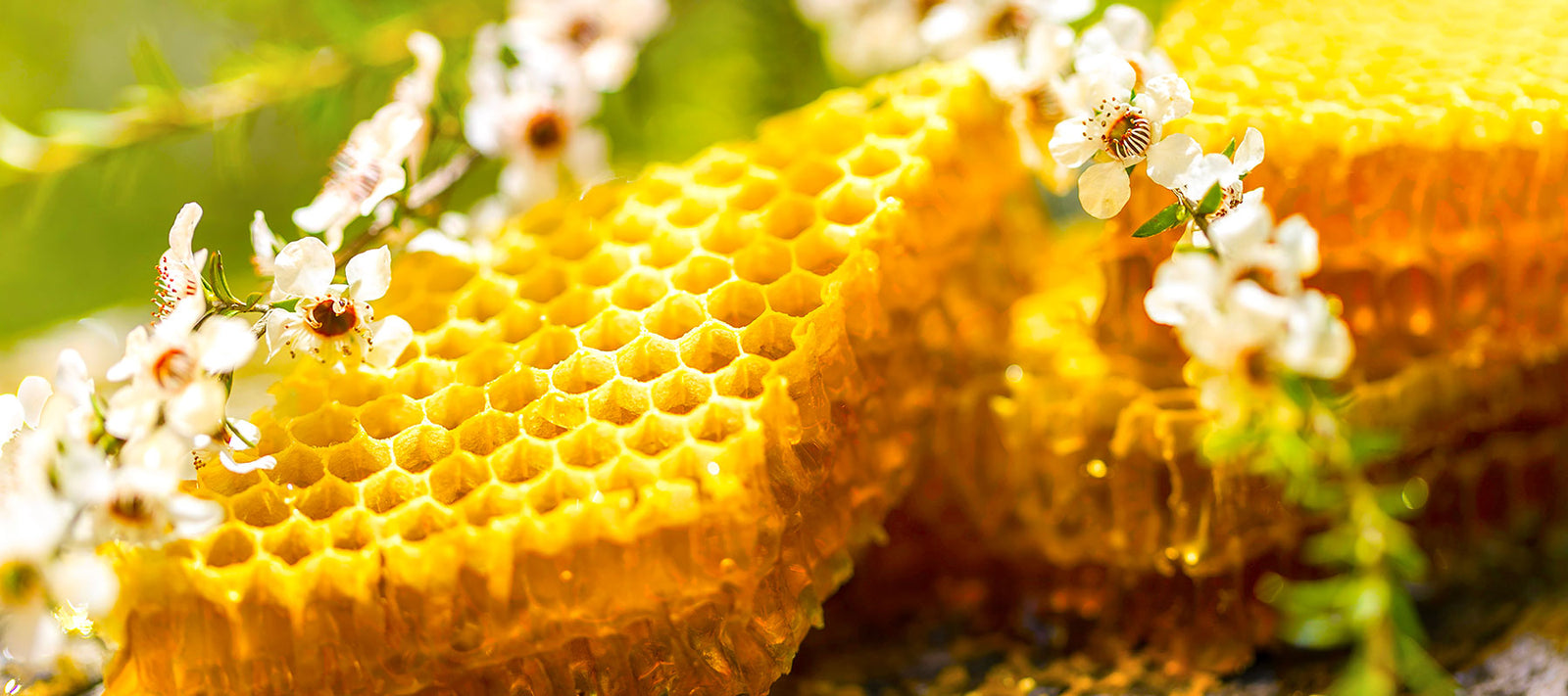 Manuka Honey Comb