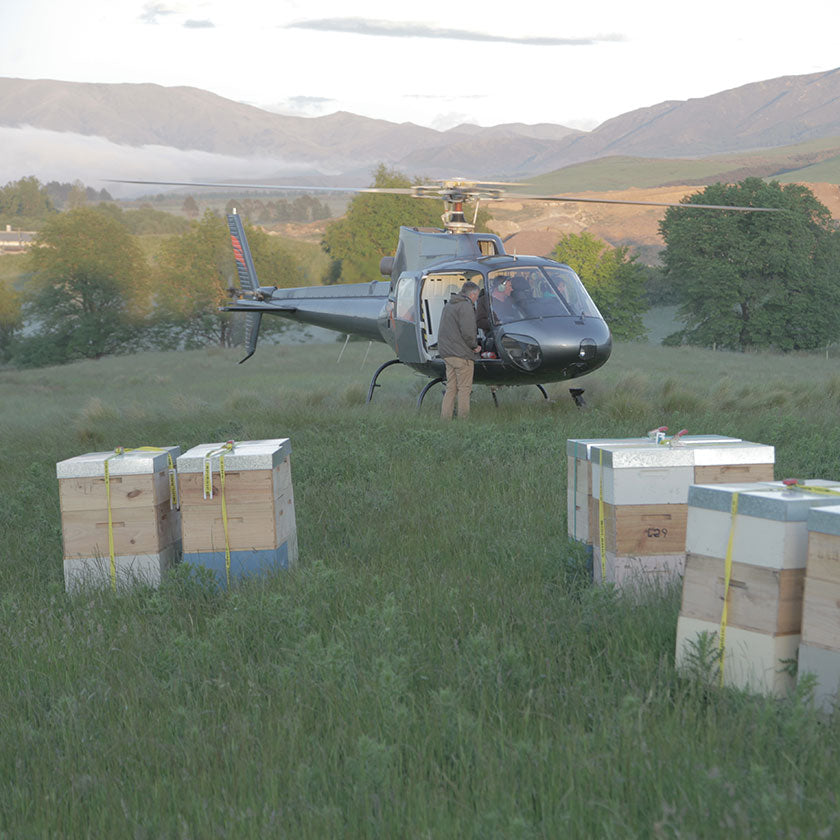 Puriti Helicopter checking Remote Hives