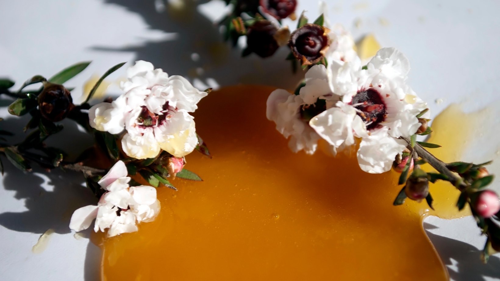 How Does Monofloral Manuka Honey Compare To Multifloral Honey? - PURITI
