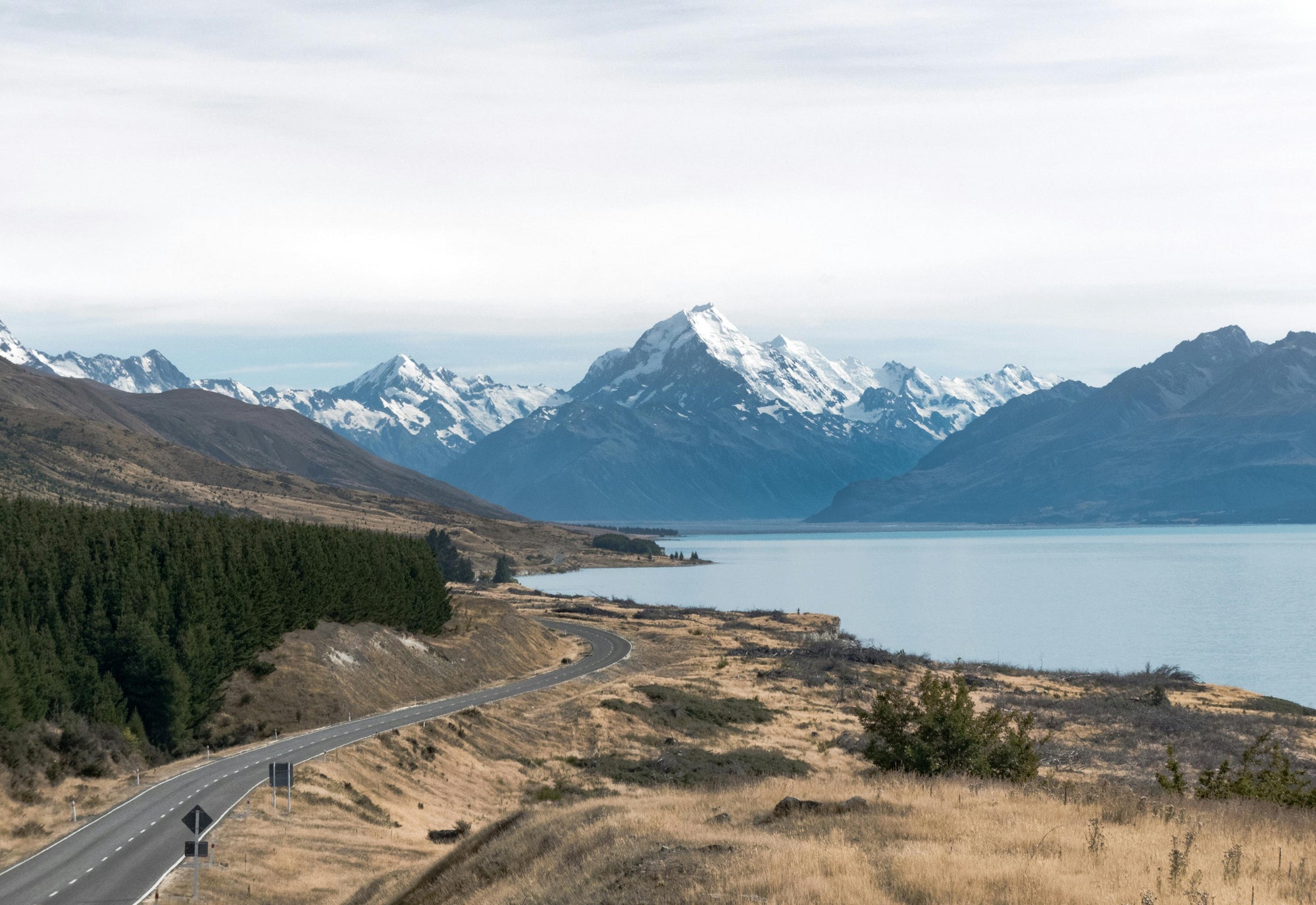 Mānuka Honey: The New Zealand Factor