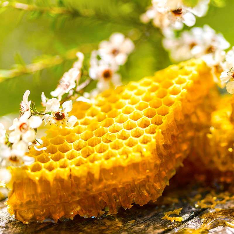 Honey Comb & Manuka Honey Flowers