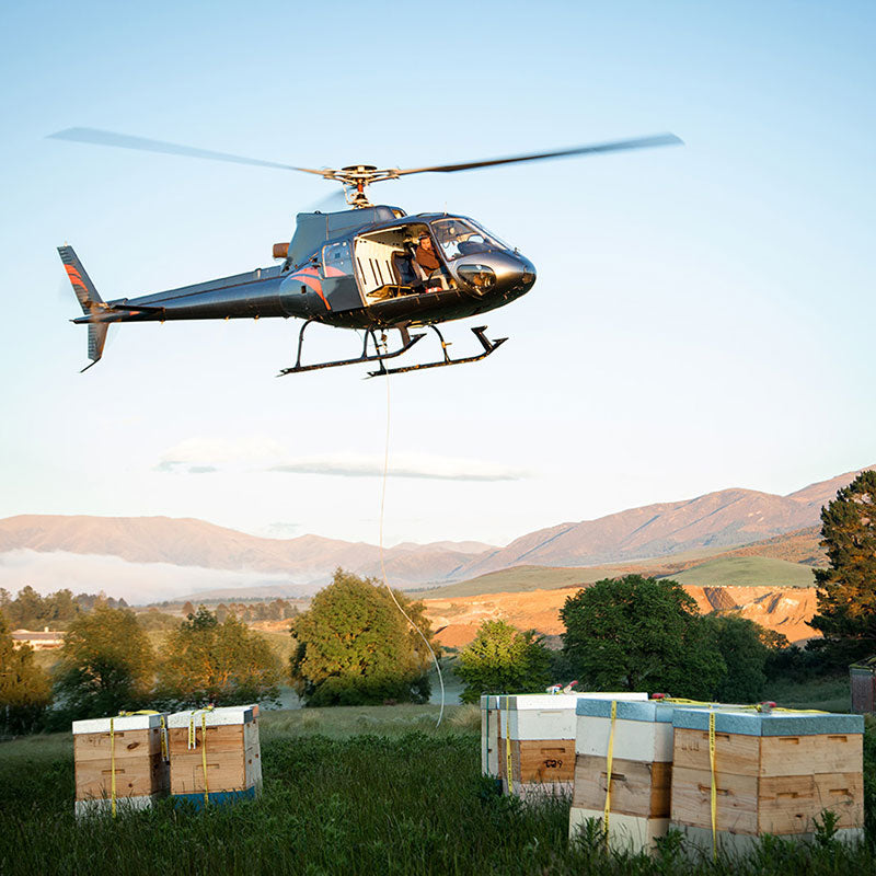 Puriti Authenticity / Helicopter flying over bee hives